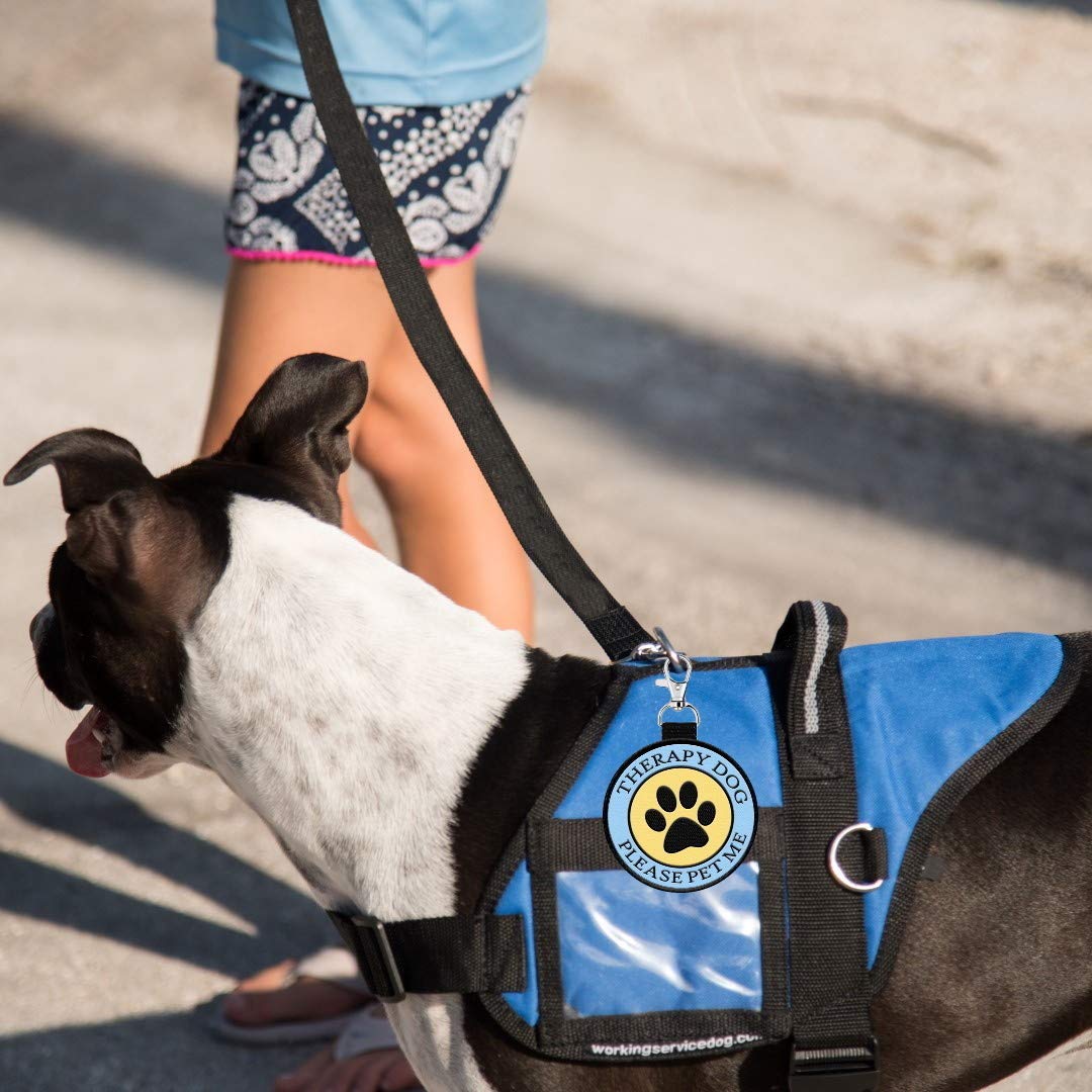 Therapy Dog Clip on Identification wisząca naszywka - klipsy do terapii dla psa, uprzęży, kołnierza, smyczy lub nosidełka.