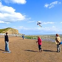Vista 5 de Mint's Colorful Life Cometa de avión y cometa de dragón para niños y adultos
