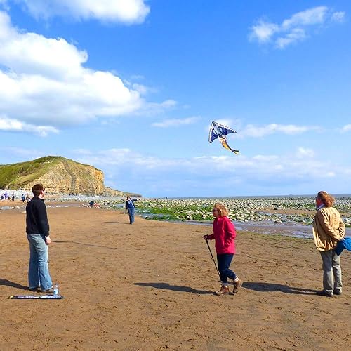 Miniatura 5 de Mint's Colorful Life Cometa de avión y cometa de dragón para niños y adultos