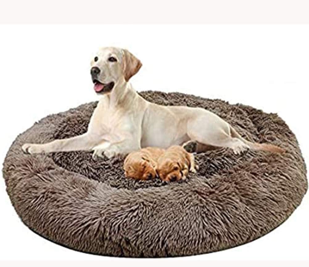 extra large wicker dog basket