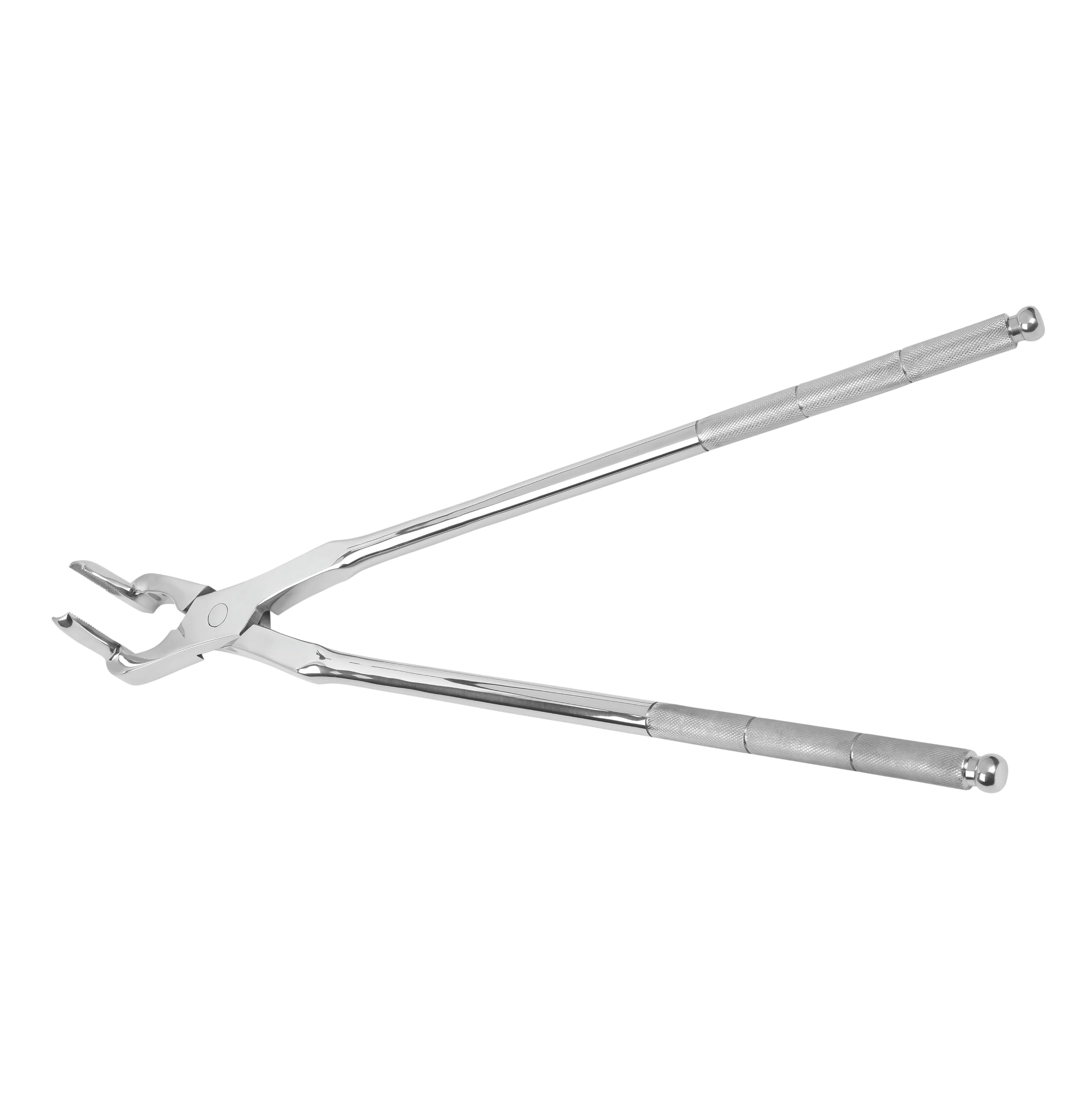 DrTail 20'' Forceps Extractor – Heavy-Duty Dental Extraction Tool for Veterinary Use – Precision Stainless Steel Construction (Long Nose Fragment 20