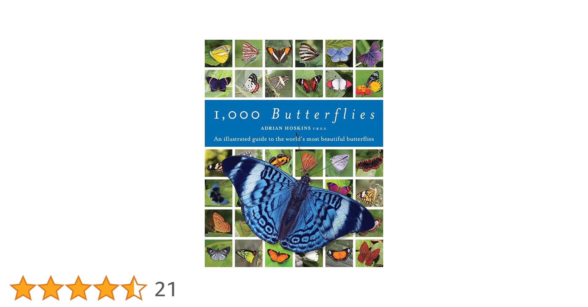 洋書 Adrian Hoskins 1,000 Butterflies 1000 Butterflies: An Illustrated Guide to the World's Most