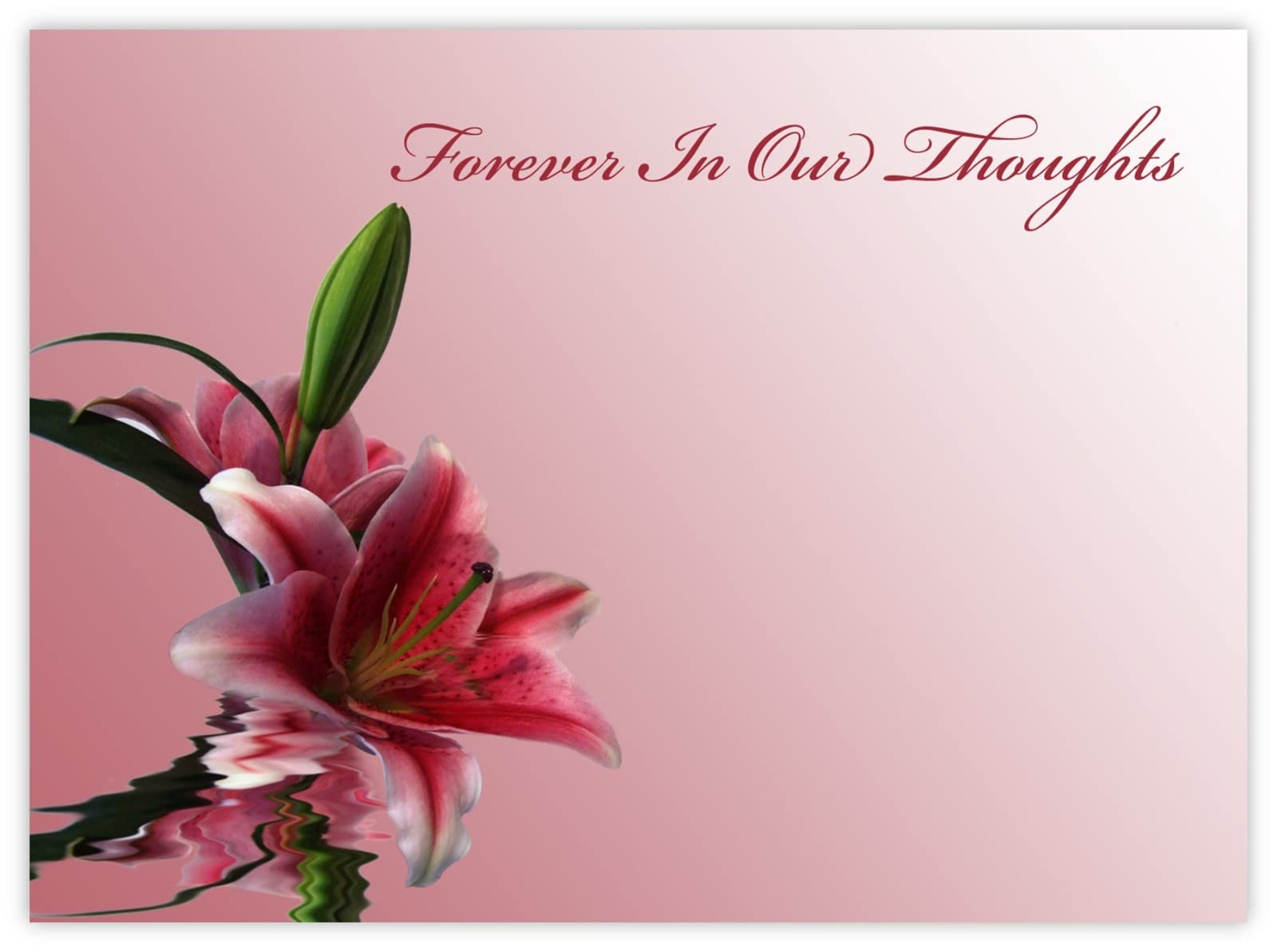 celloexpress Forever in Our Thoughts (Pink Lilies) Flower Message Cards - 90mm x 125mm - Bereavement Florist Card Sympathy Condolences Notes (Pack of 18)