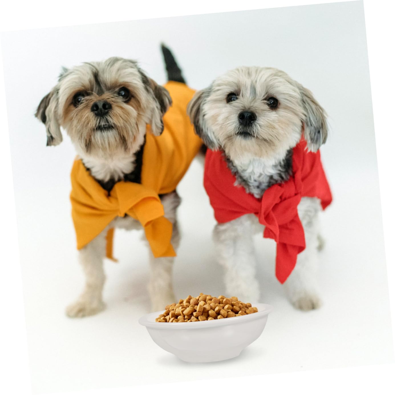Tazón para Mascotas de Cerámica Blanco Antideslizante 2 Piezas | Fácil de Limpiar, Diseño Simple, para Gato y Perro, Suministros para Mascotas