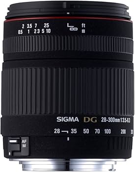 Amazon.co.jp: シグマ 28-300mm F3.5-6.3 DG MACRO キヤノン用