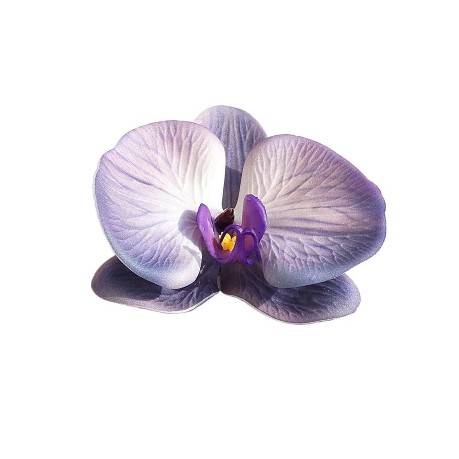Casetlong 20Pcs Artificial Flowers Diy Gift Box Decor Party Wedding(Purple)
