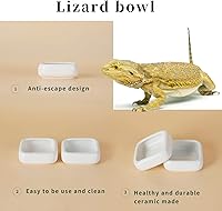 Vista 2 de Tazones de comida para reptiles, plato cuadrado de cerámica para agua de reptiles, cuenco de comida para mascotas para lagartos, dragones barbudos
