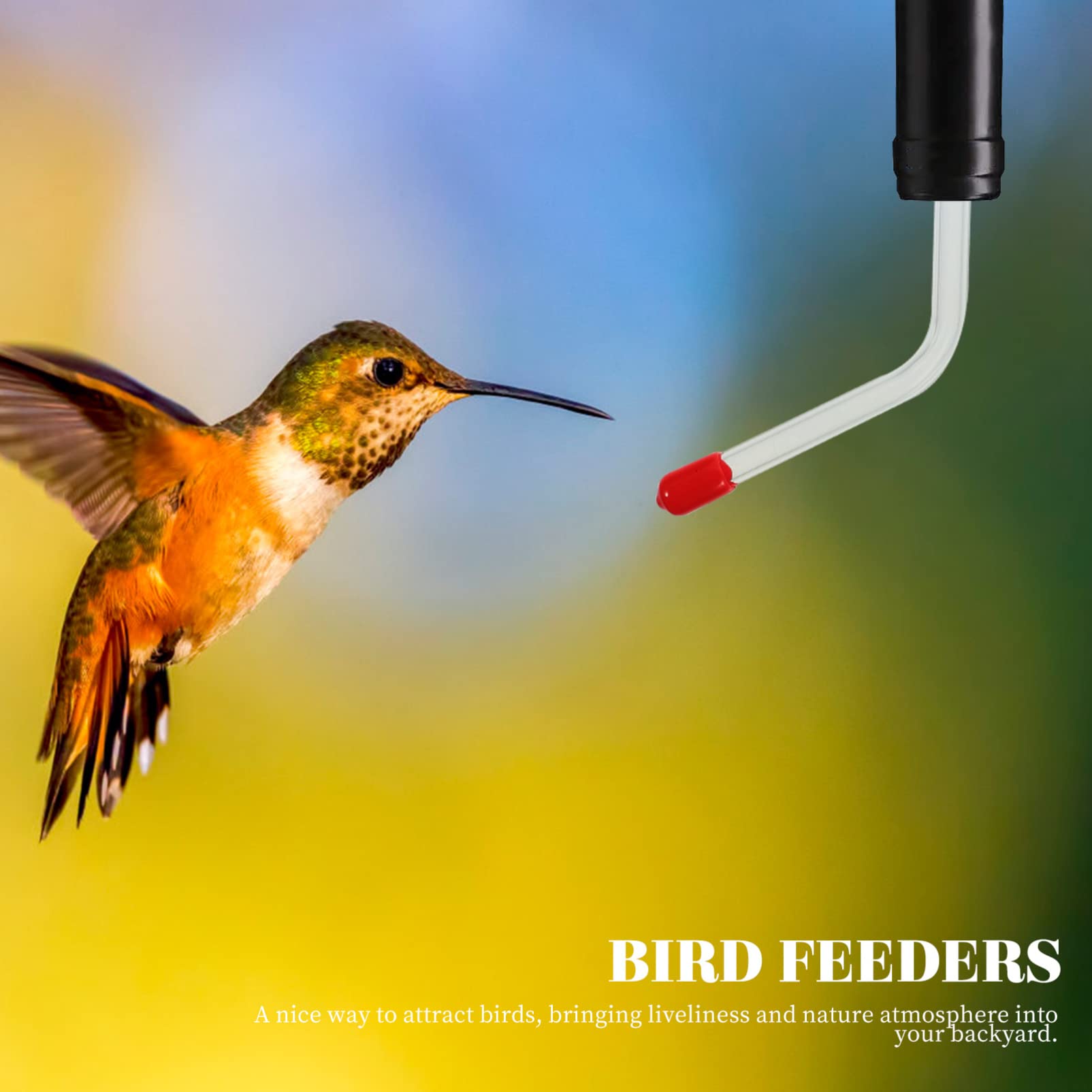 YARNOW 3 Ensembles Mangeoire À Eau pour Colibris Mangeoire pour Oiseaux Remplacement De La À Colibris Tubes Bird Feeder s pour Oiseaux Accessoire Extérieur 4 Pièces * 3