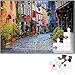 YBW Keeping Busy Dementia Puzzles for Elderly - Large Piece Puzzles for Seniors - 35 Piece Jigsaw Town Puzzle - Color Coded with Templates - Dementia Activities for Seniors - Easy Adult Puzzle