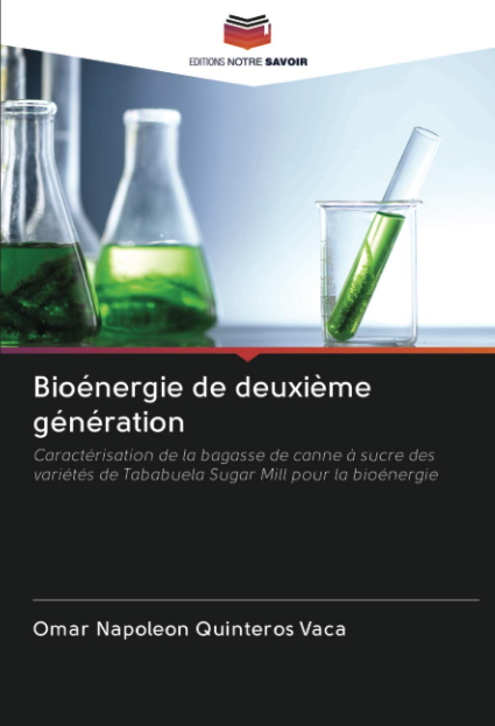 Bioénergie de deuxième génération: Caractérisation de la bagasse de canne à sucre des variétés de Tababuela Sugar Mill pour la bioénergie