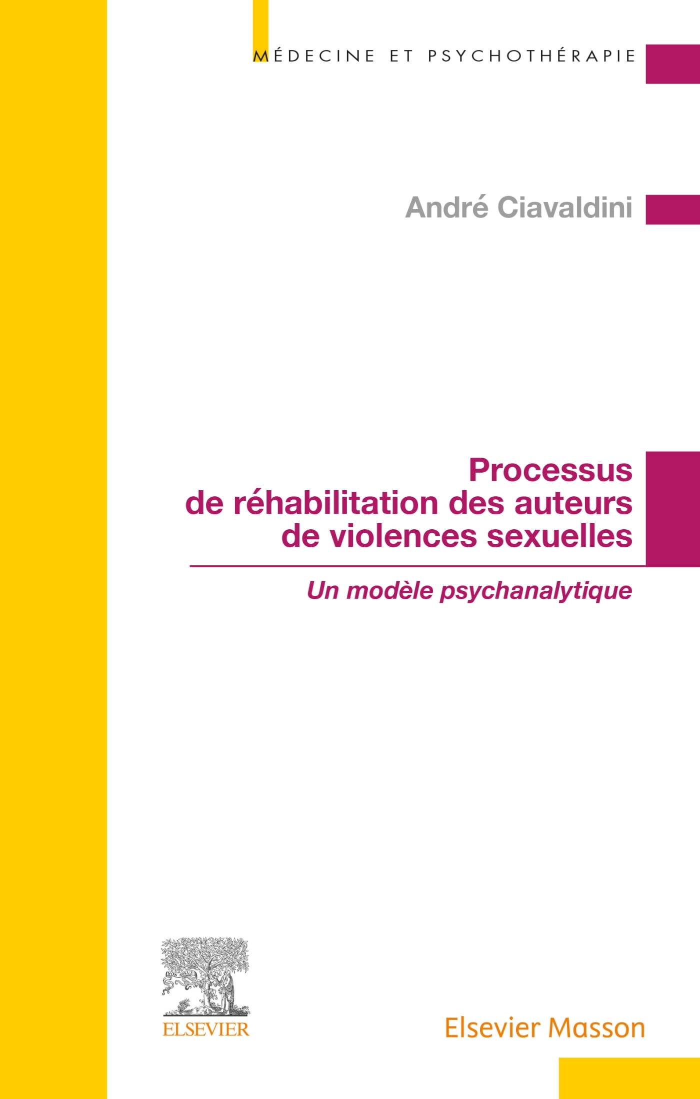 Processus de réhabilitation des auteurs de violences sexuelles: Un modèle psychanalytique