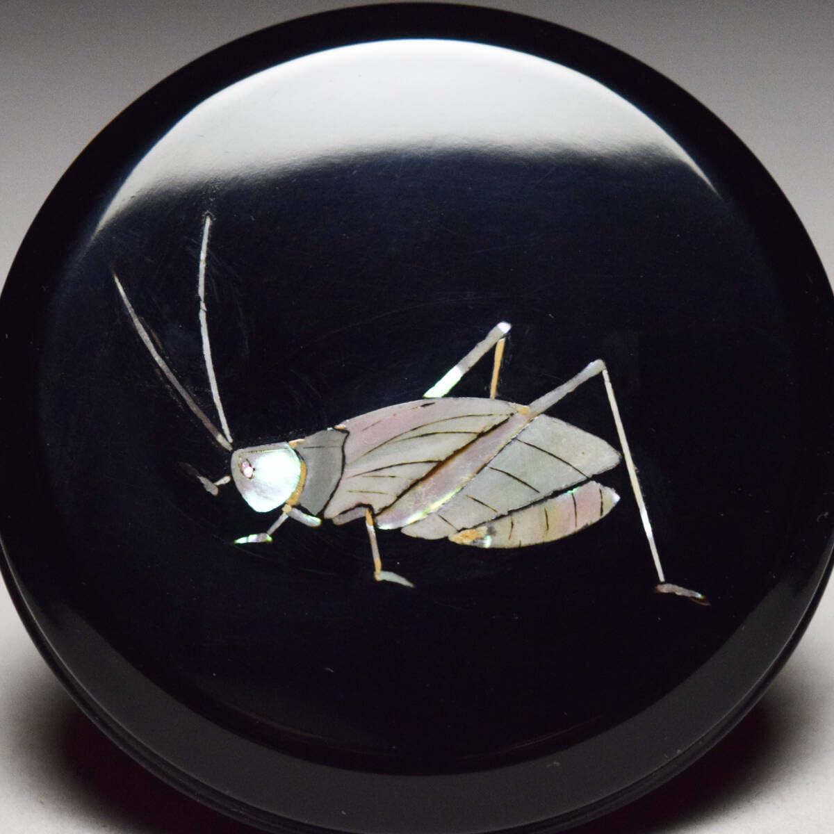 Amazon.co.jp: 漆匠二代佐野長寛造螺鈿鈴虫香合共箱茶道具漆器漆芸丸