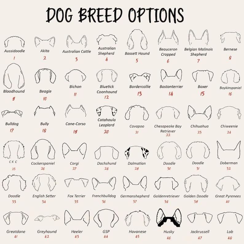 CHILLEVER Personalized Embroidered Dog Mom Sweatshirt, Dog Mama Crewneck, Gift for Mom, Pet Name On The Sleeve3