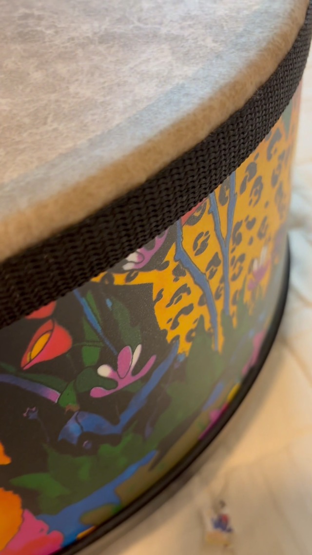 Amazon.com: Remo: Kids Drums and Percussion