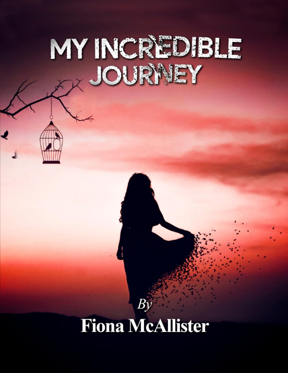 My Incredible Journey