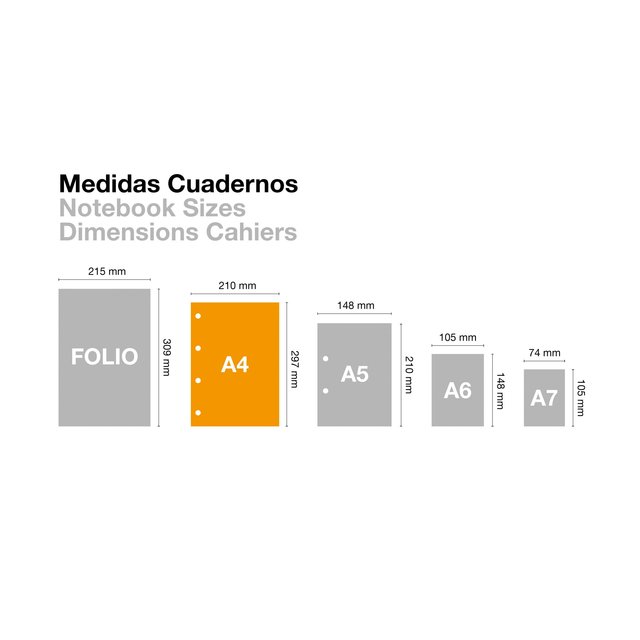 Miquelrius Quaderno A4 Notebook Emotions 80 Fogli 90 g/m² Griglia 5 mm Spirale Microforata Copertina Extra Rigida Verde