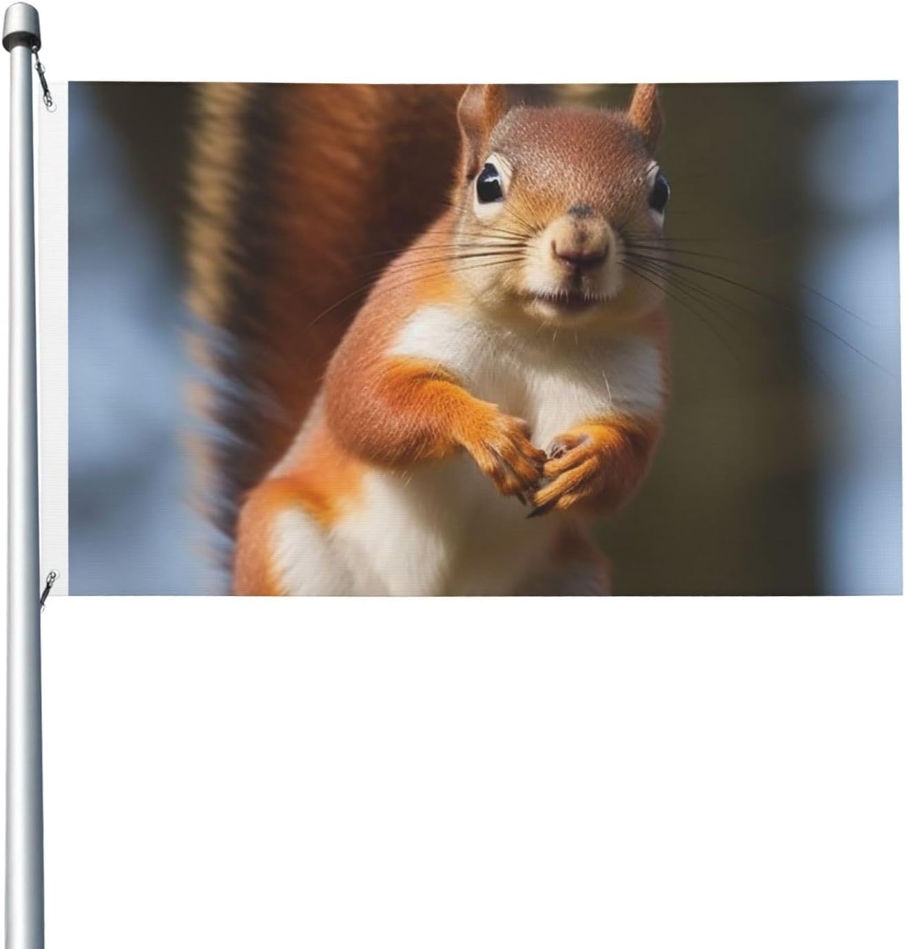 Squirrel Funny Animal Flag for Outside Double Sided, 3x5 FT