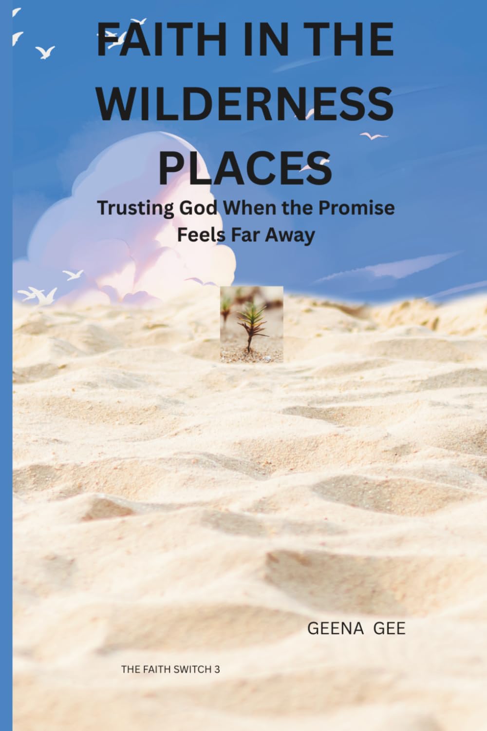 FAITH IN THE WILDERNESS PLACES: Trusting God When the Promise Feels Far Away (THE FAITH SWITCH SERIES : Turning Impossible Moments Into Pathways of Power)