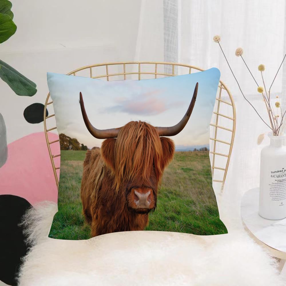 HYOSXW Cushion Cover,Throw Pillow Case Home Decorative for Living Room Bedroom Sofa Chair 16X16 Inch,ox，Portrait of the brown-haired Highland cattle on the ranch,Pillowcase 40X40cm