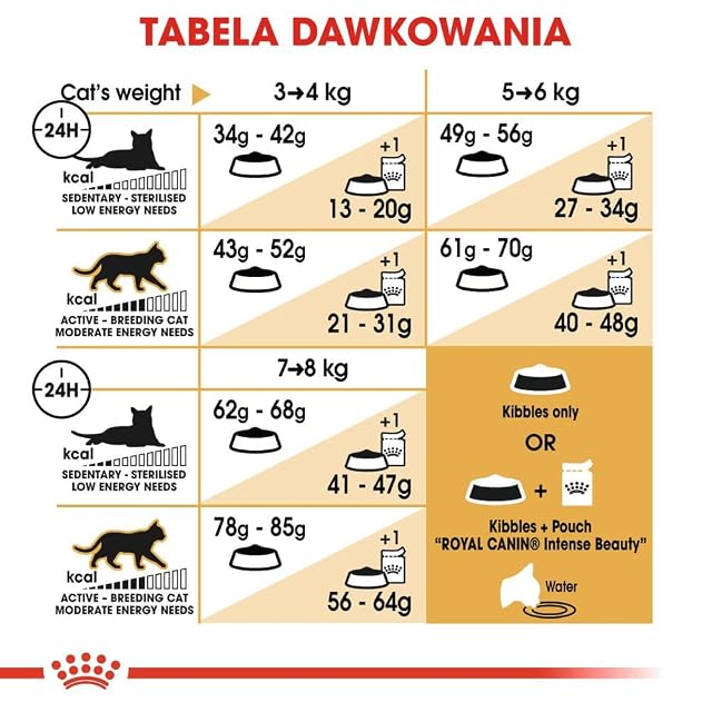 Foto 6 de 8 de Royal Canin Ragdoll Adult Dry Cat Food 10 kg
