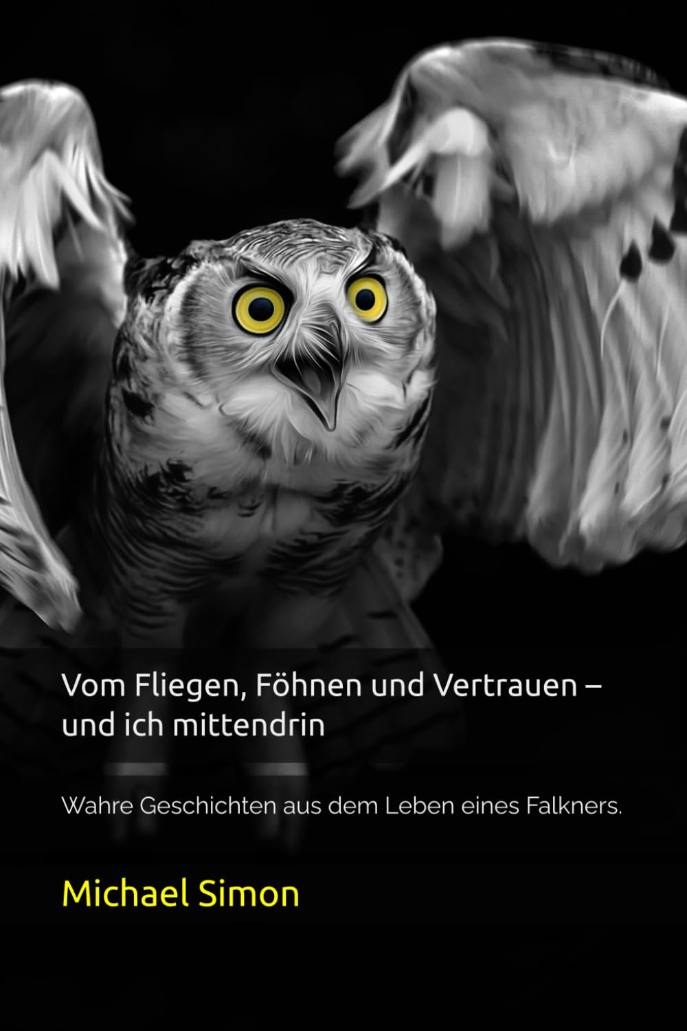 Vom Fliegen, Föhnen und Vertrauen – und ich mittendrin: Wahre Geschichten aus dem Leben eines Falkners.