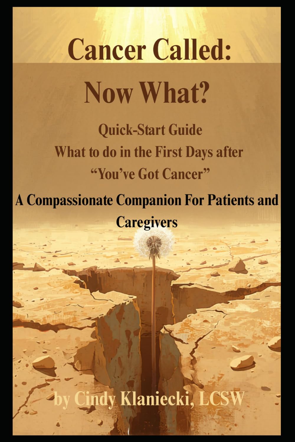 Cancer Called; Now What? Quick Start Guide: What to do in the First Days After "You've Got Cancer" (Now What? Cancer Series)