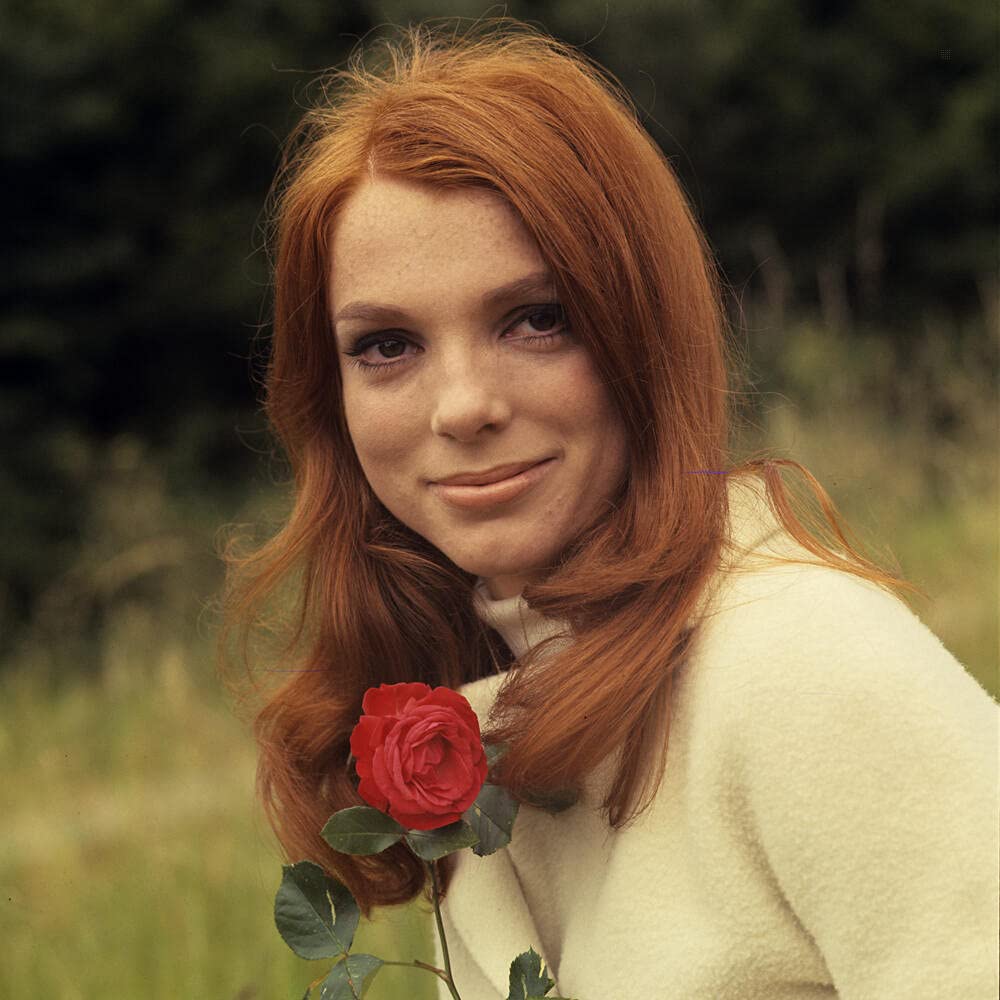 Rendez-vous à Badenberg - L'intégrale de la série - Coffret 2 DVD