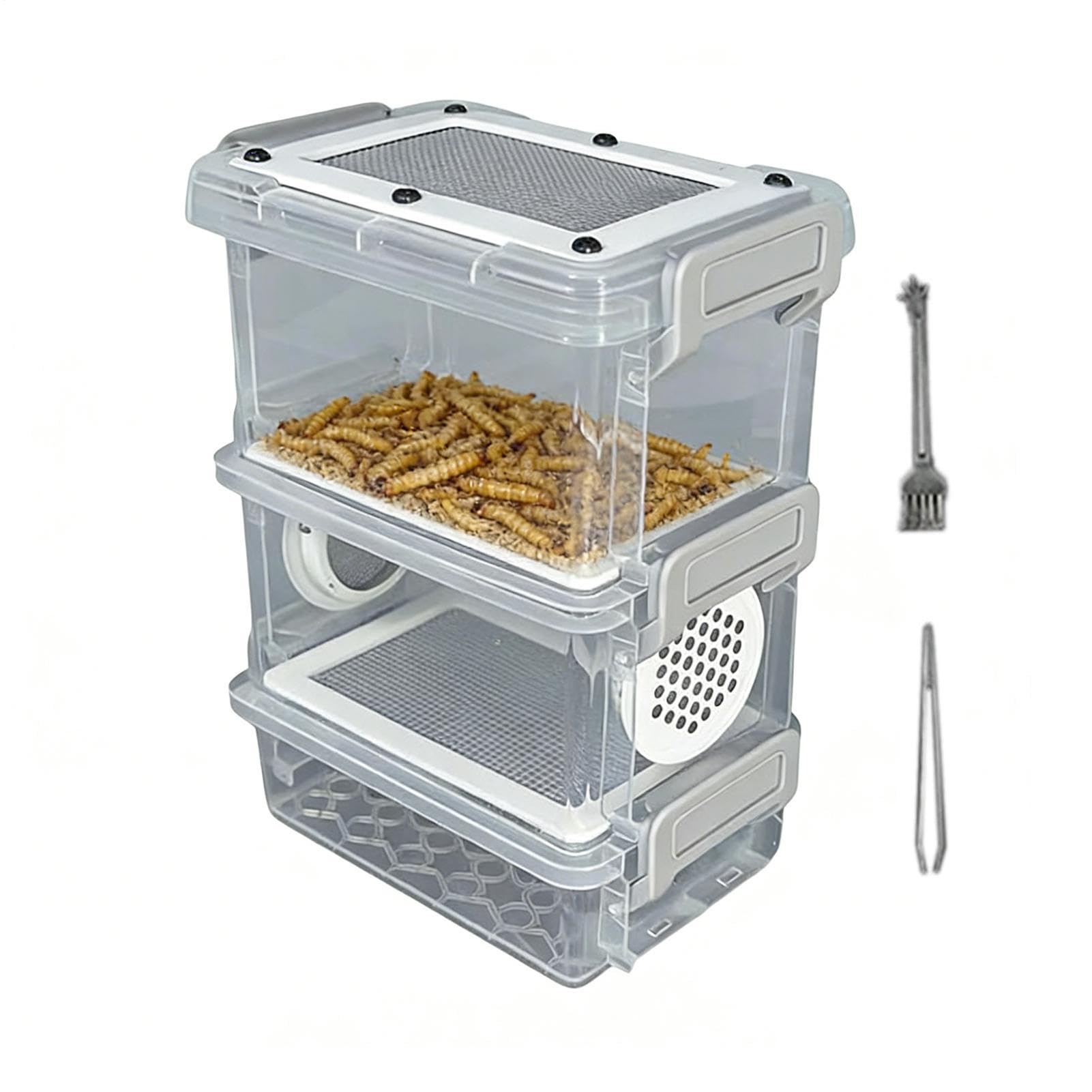 Kit per Allevamento di Camole,Set con Contenitore Stabile e Pinzette | Scatola per la Crescita dei Bachi da Seta,Progetti Scolastici Backyard Scienza Campeggio