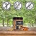 Nutty Gourmet Maple Cinnamon Walnut Butter - Fresh Gourmet Nut Butter - All Natural - Peanut Free - Vegan - California Grown Walnuts - Heart Healthy Snacks - Gluten Free (10oz - 1 Pack)