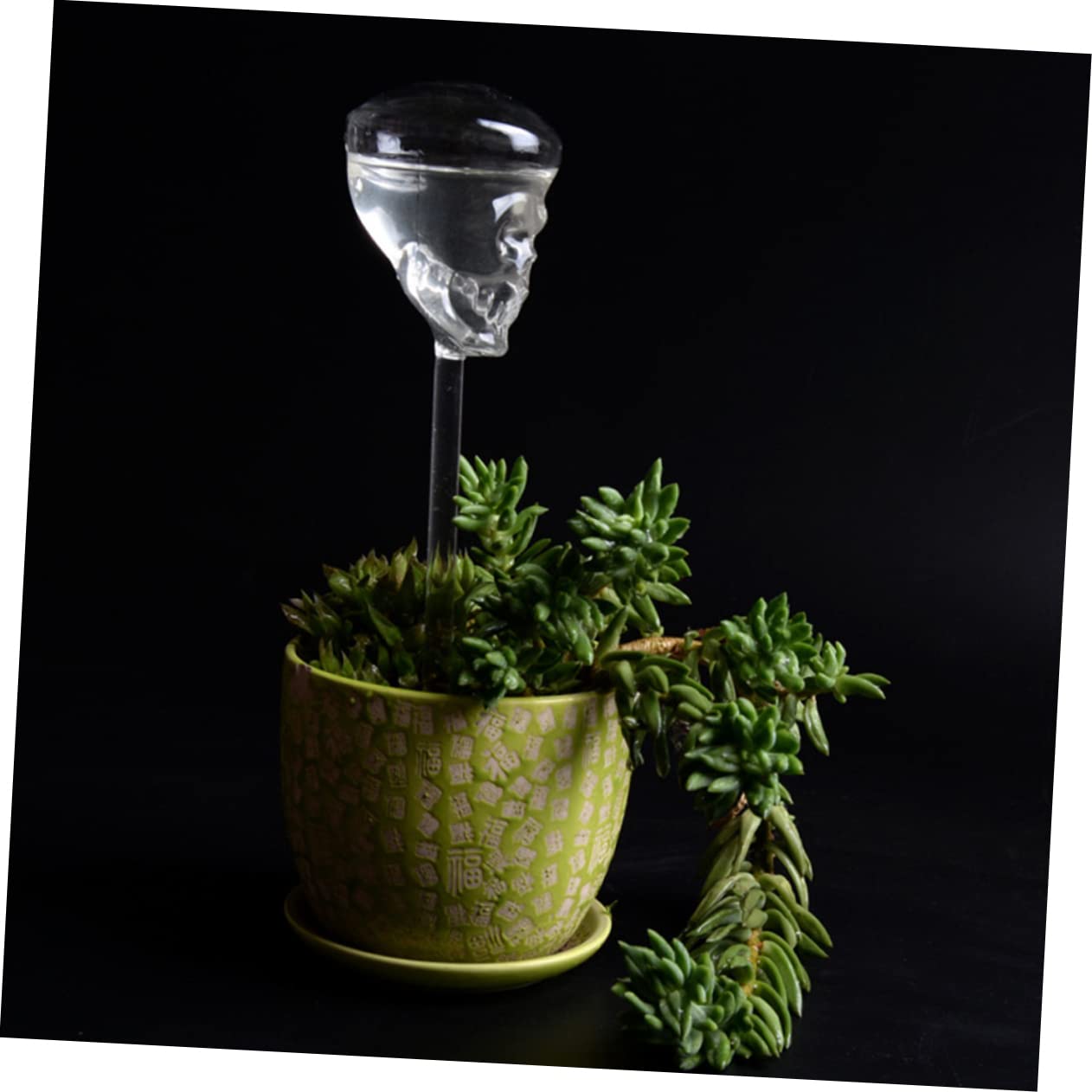 Toddmomy 3pezzi Dispositivo Irrigazione per Gocciolante Innovativo per Patio e Balcone Design