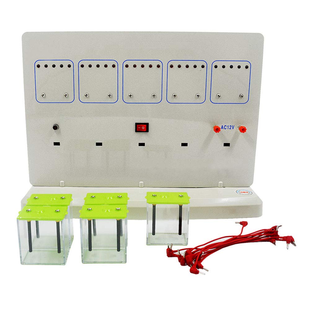 Buy Diode Display Graphite Electrode Solution Conduction Demonstrator