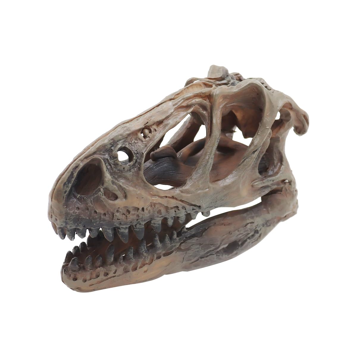 Ludom Crâne de Tyrannosaure en résine - Crâne de dinosaure pour cachette de poisson - Aquarium - Terrarium - Accessoires photo - Outil éducatif - Décoration d'intérieur