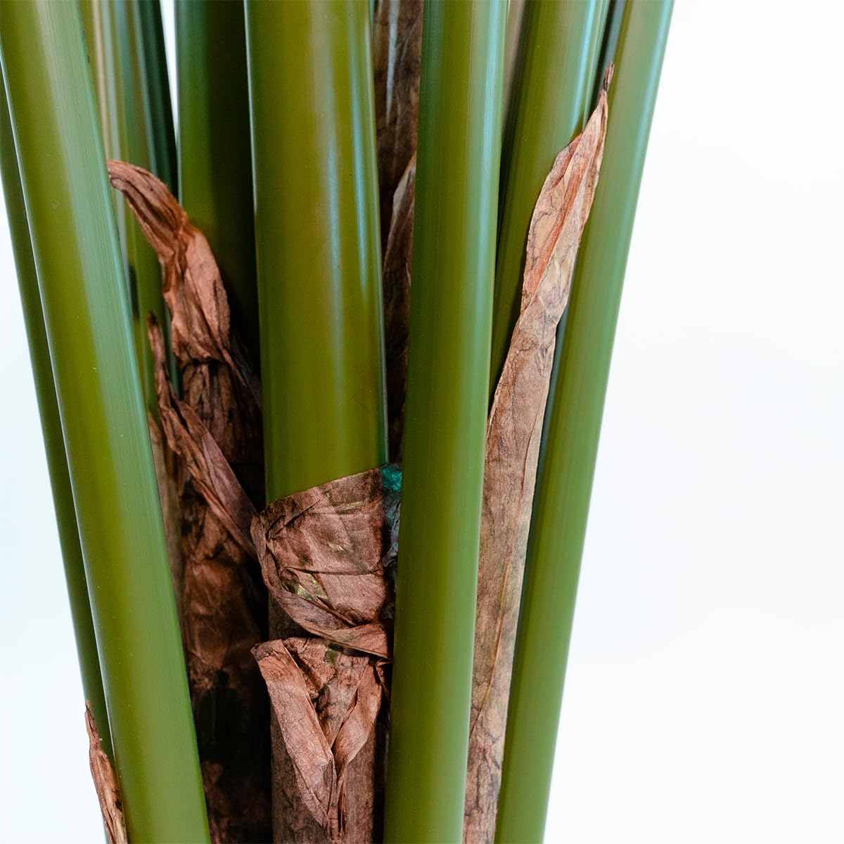 BLAINE Strelitzia 160cm Grande Plante Artificielle Réaliste pour Intérieur Extérieur