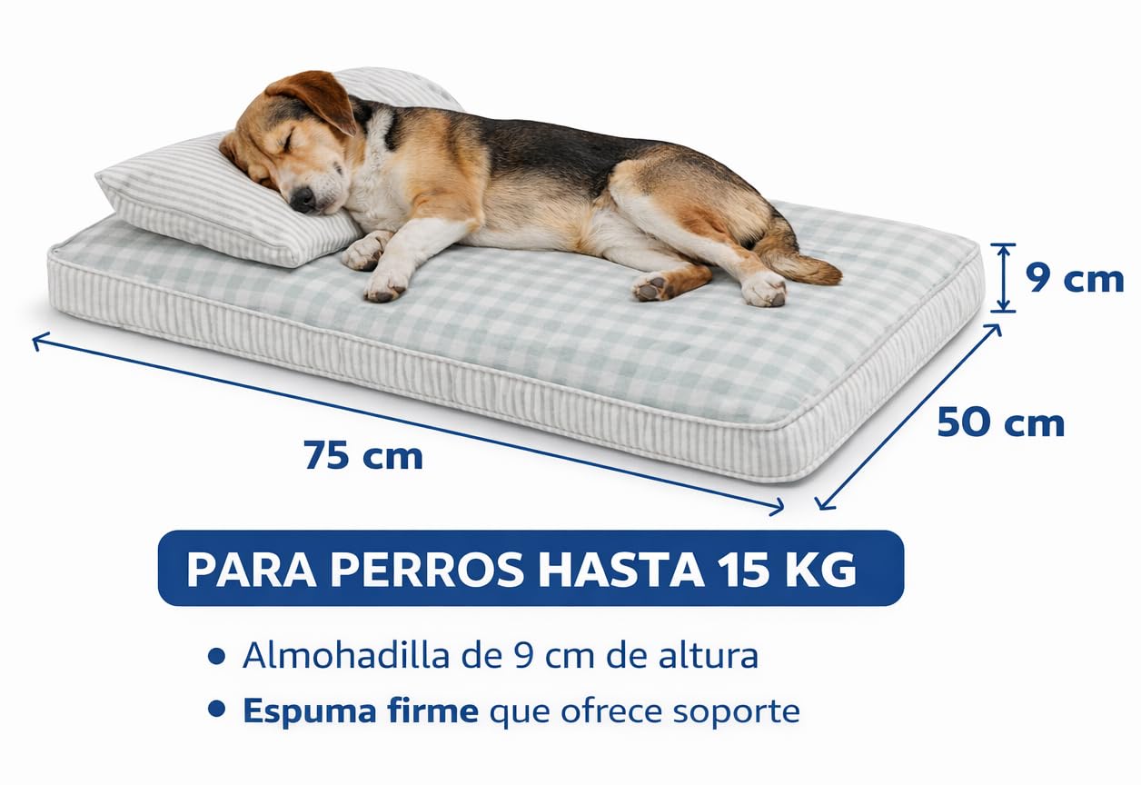 Cama para Perro Mediano 75x50 cm, Funda Lavable. Ideal para Perros hasta 10 kg y Gatos