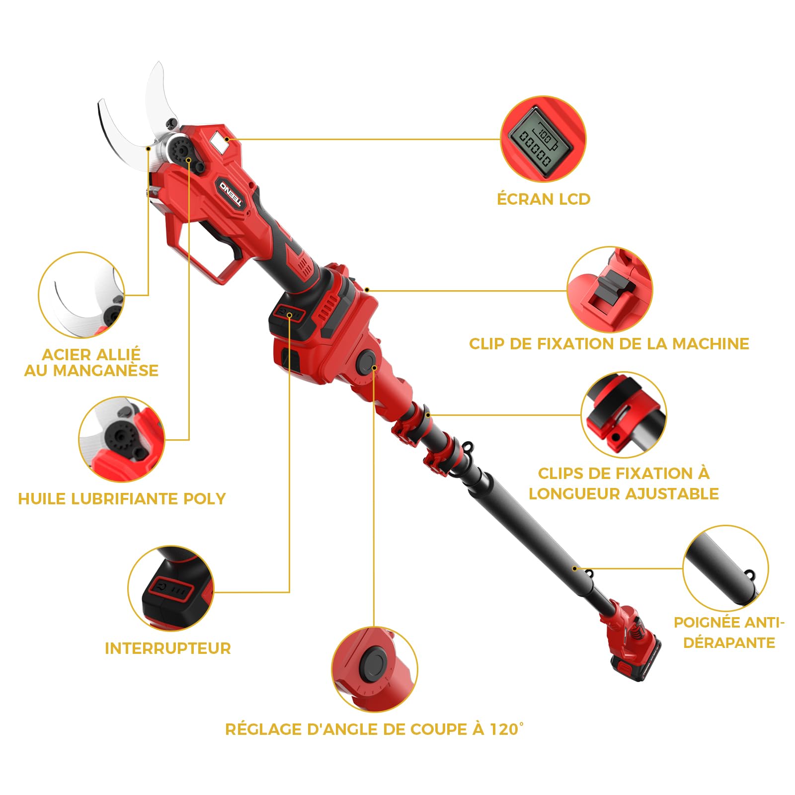 TEENO 2-en-1 Sécateur électrique avec perche télescopique, 40MM Secateur electrique sans fil 4000mAh avec Écran, 2 Batteries de 2.0Ah, our le jardinage, les arbres fruitiers
