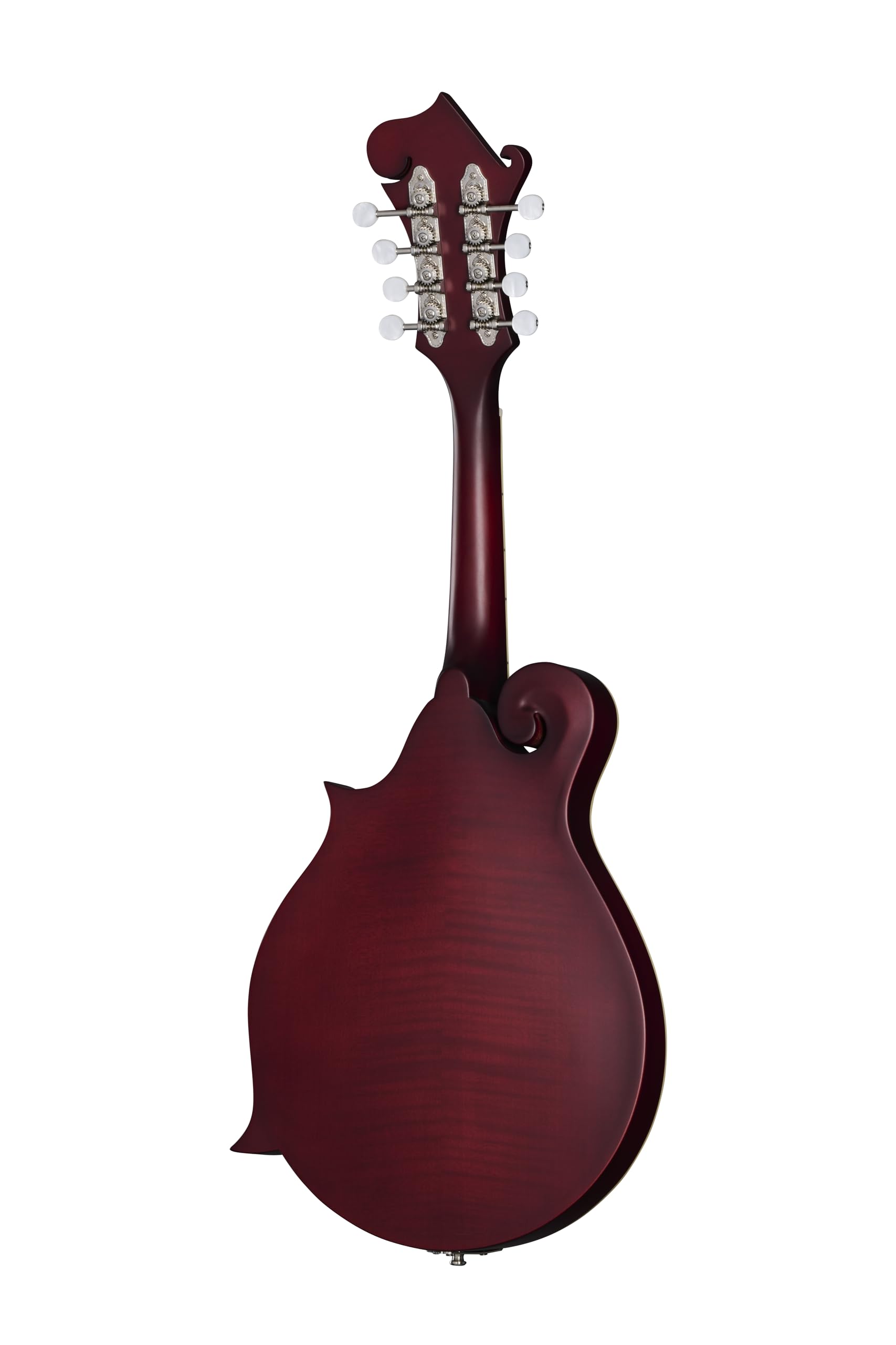 Amazon.com: Epiphone F-5 Studio Mandolin, Wine Red Satin with Bag