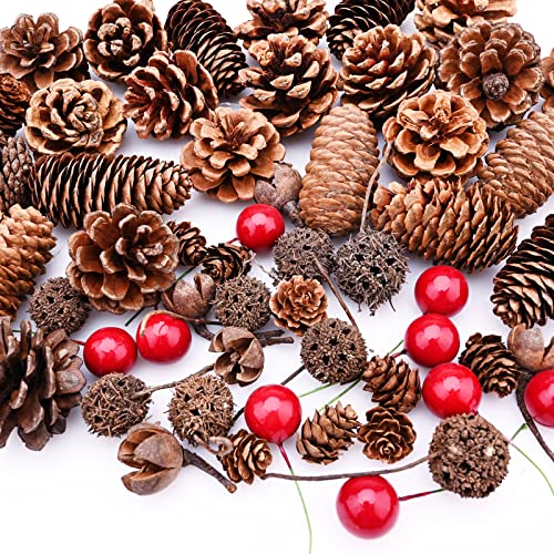 150 Stück Weihnachten Tannenzapfen Stechpalme Beeren Natürliche...