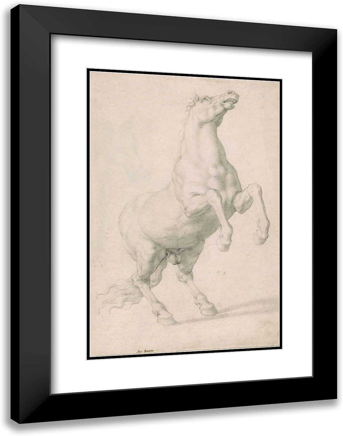 ArtDirect Bronzino, Agnolo 18x24 Black Ornate Framed Art Print with Double Matting Titled: Rearing Stallion