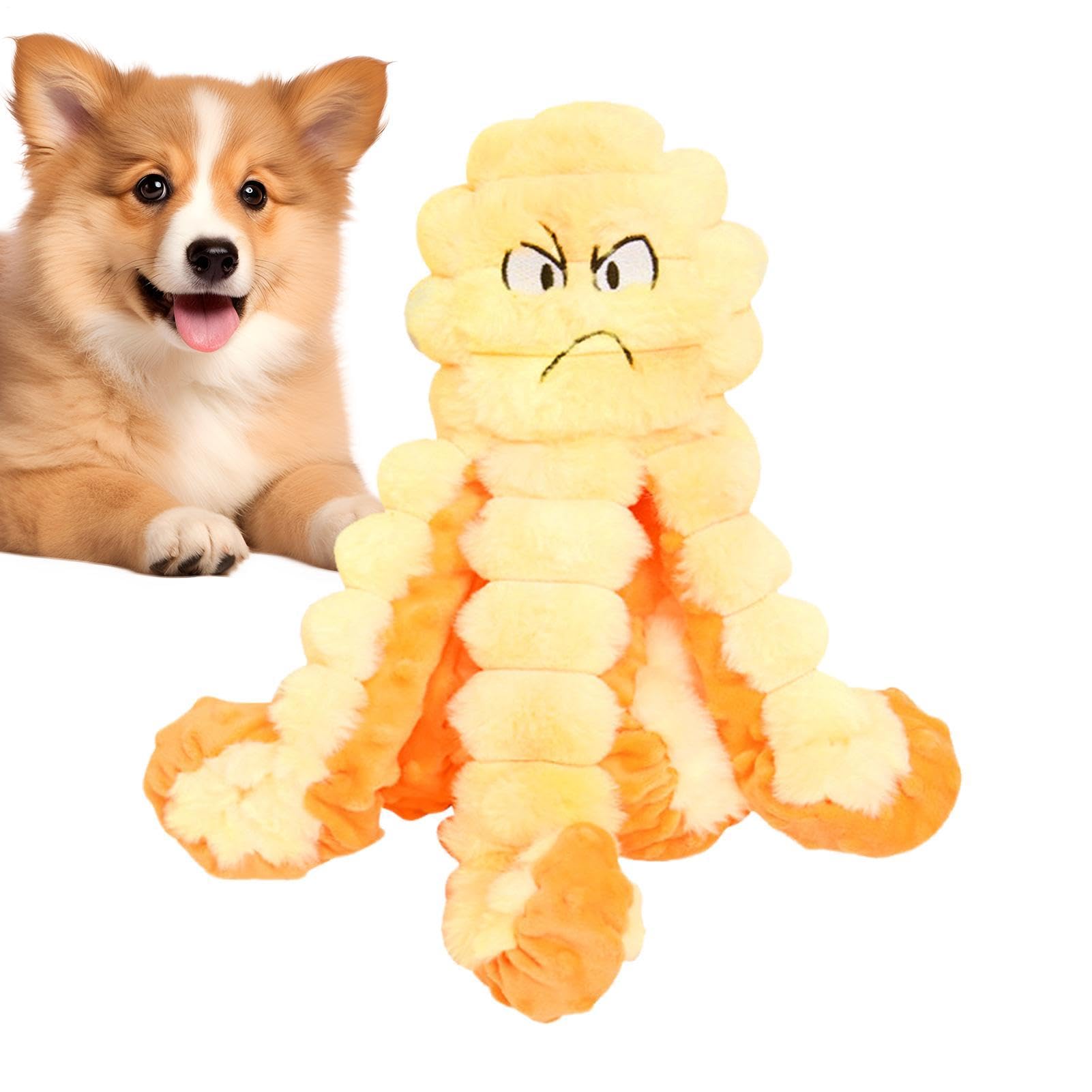 Jouets interactifs pour chien parfaits pour la plage et le jardin