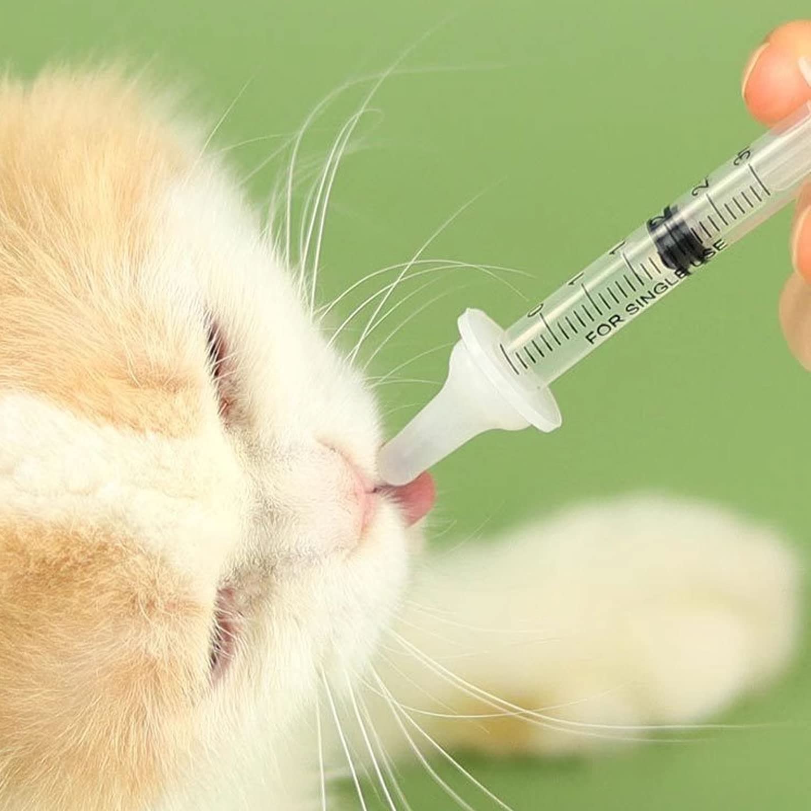 Bottiglia per animali domestici e mini ciuccio di ricambio con siringa per una varietà di slot temporali per gattini e cuccioli, biberon per cuccioli per allattamento, biberon per allattamento