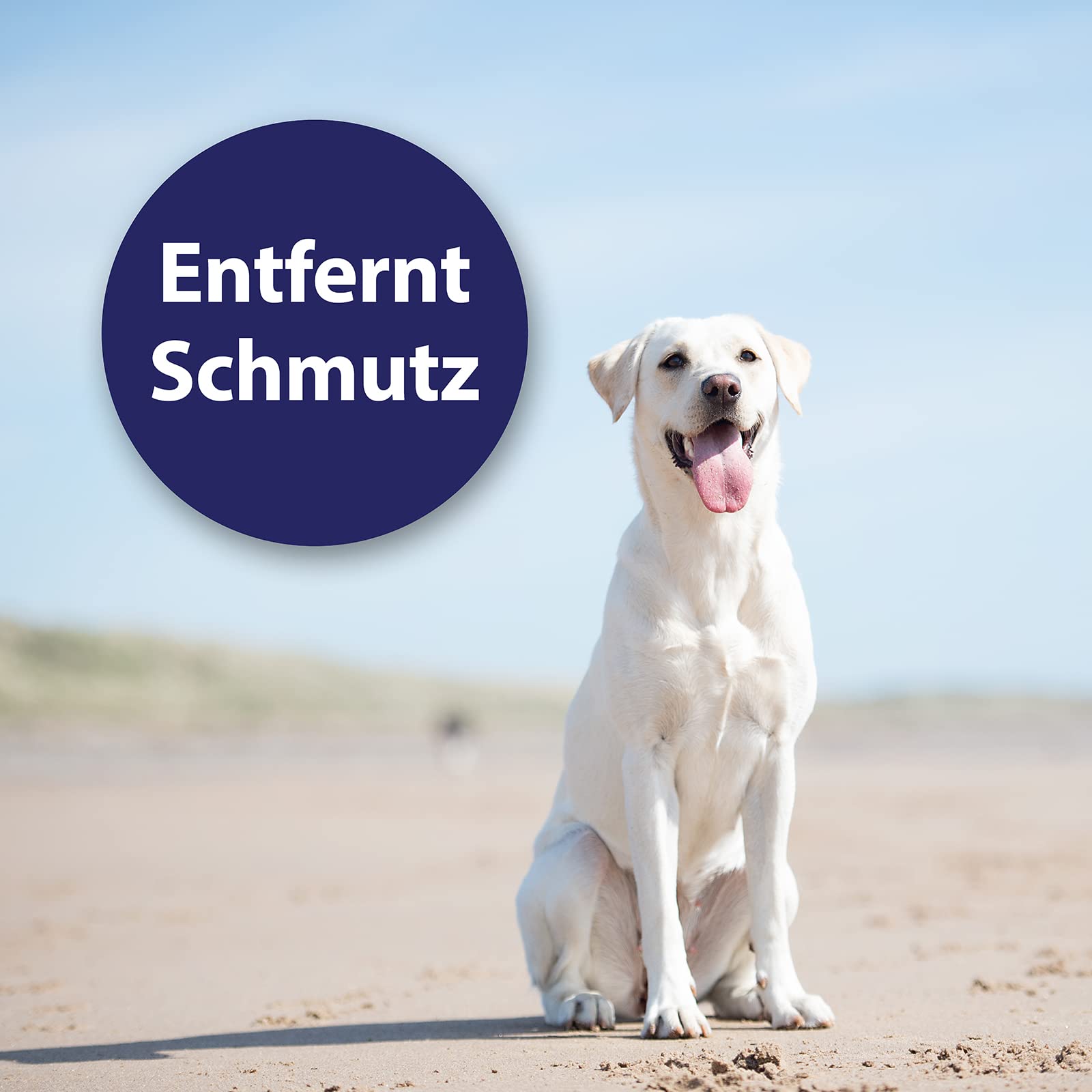 Canosept Ohrpflege Finger-Pads für Hunde 50 Stück - praktischer Hunde Ohrenreiniger Hund, Ohrreiniger für Hunde, Pflege & Hygiene Ohr-Pads - 4