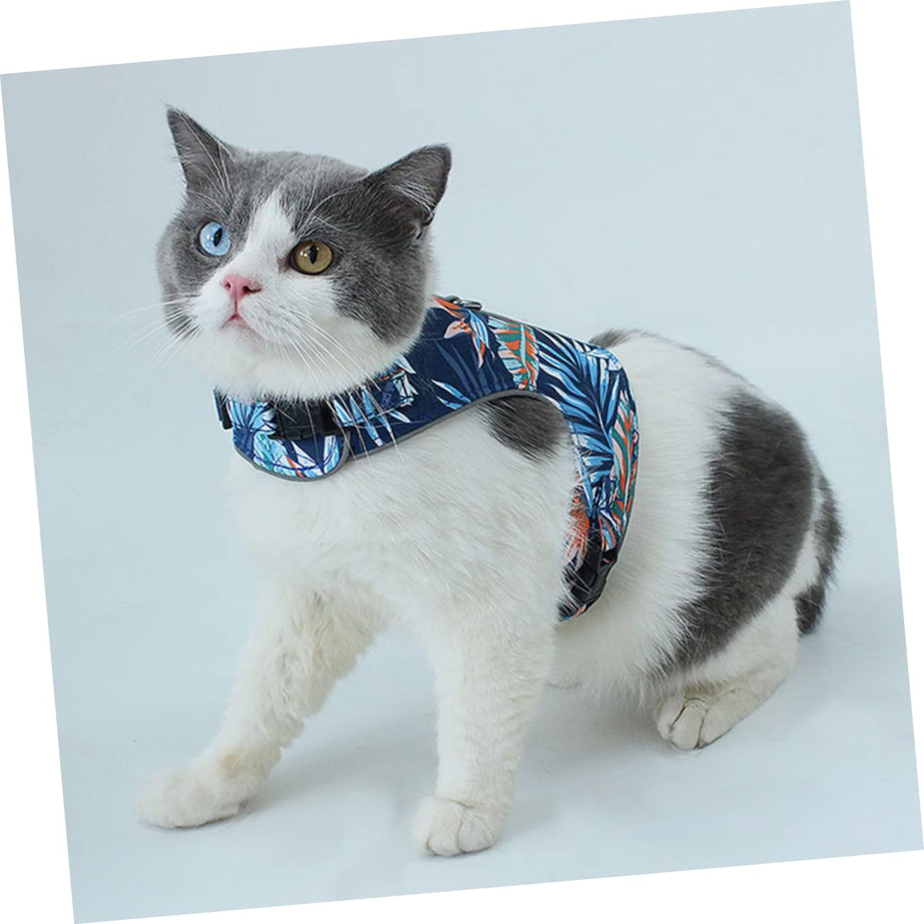 Happyyami 3 Set Guinzaglio Per Gatti Imbracatura Gilet Riflettente Guinzaglio Regolabile Per Cani Gilet Ad Alta Visibilità Collare Per Cani Regolabile Toracica Per