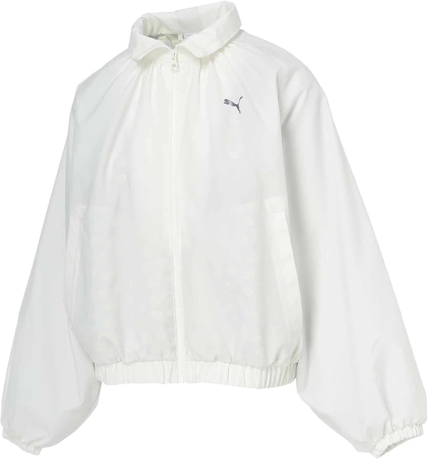 ペプシ ドラゴンズホルダー クリアファイル 中日ドラゴンズ 7種 まとめ