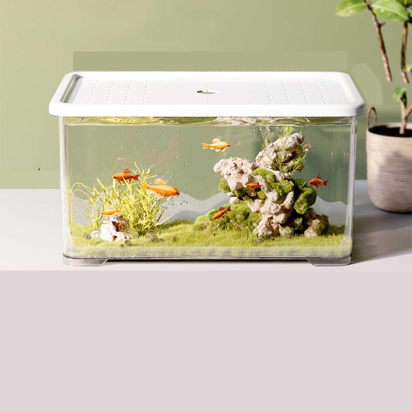 Acquario Acquario in Acrilico Trasparente con Coperchio Bianco, Piccolo Soggiorno, Acquario da Tavolo, Piccolo Ufficio, Decorativo, Acquario for Tartarughe Acquario per Pesci