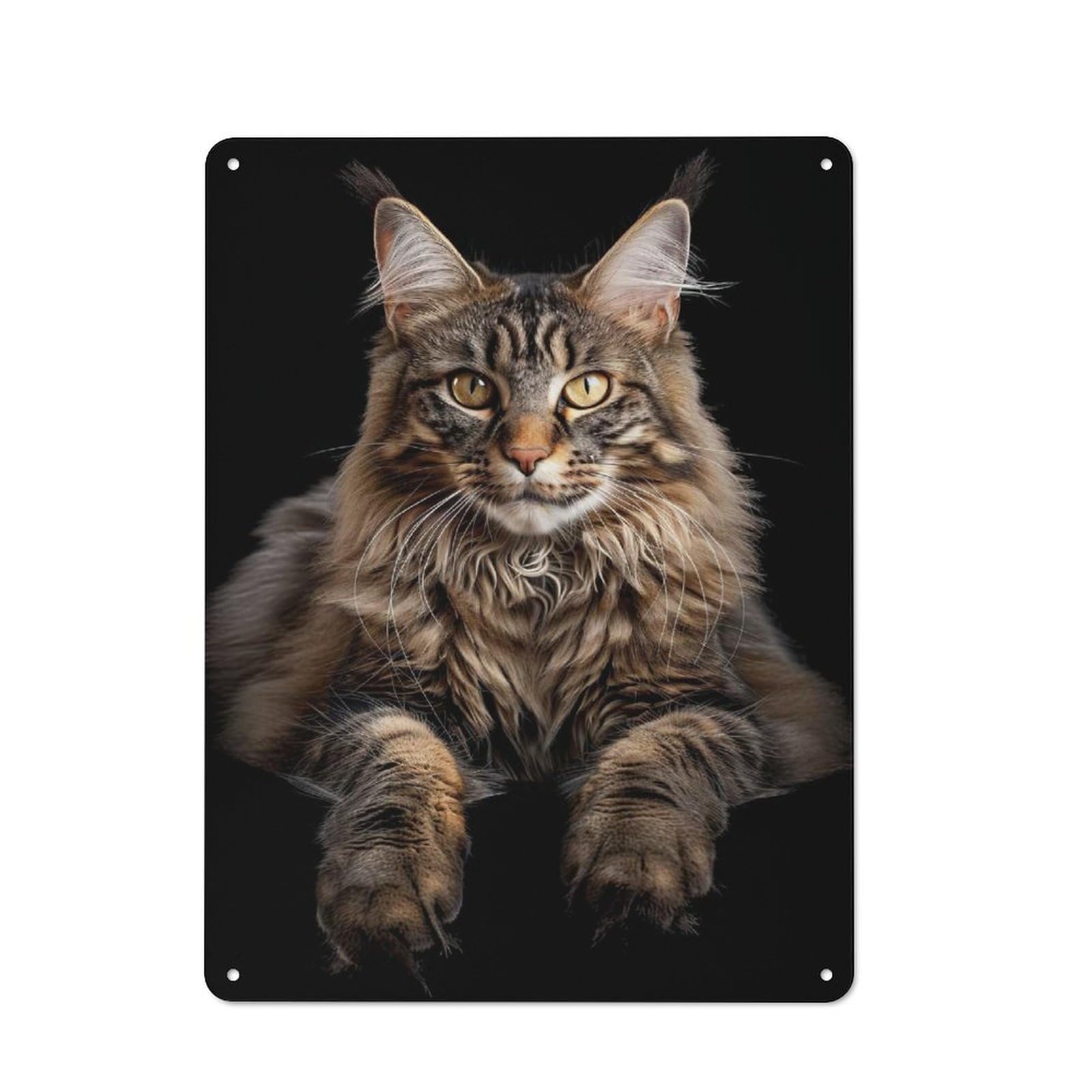 Junmoney Maine Coon Printed Metal Sign 40X30cm For Guest Room Or Hallway, Suited To Home Decor Collectors
