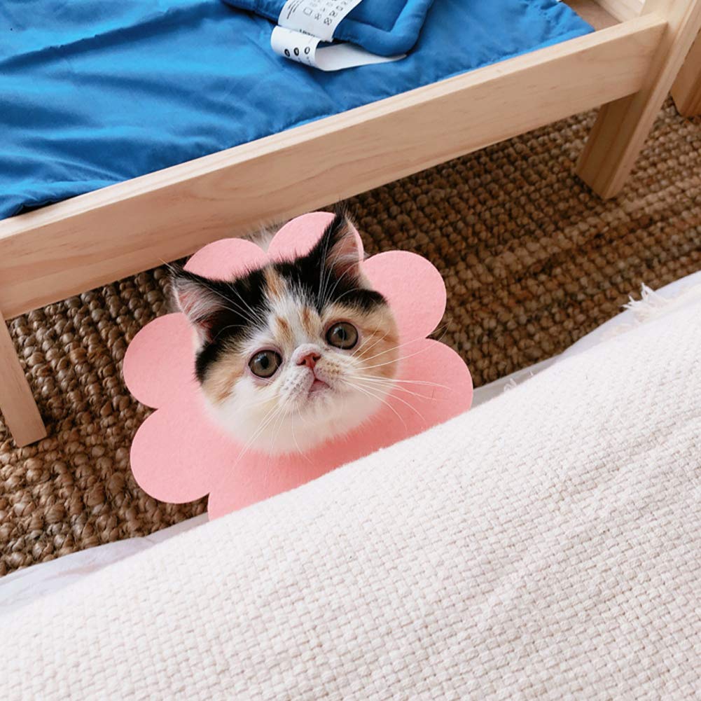 Amazon | KUVEELA PET エリザベスカラー 猫用品 ドーナツカラー