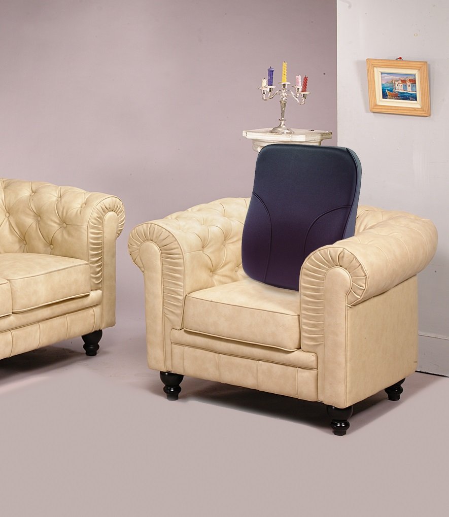 Amazon.co.jp: ミスフランシスの何処でもマイチェアー。背筋が真っすぐ