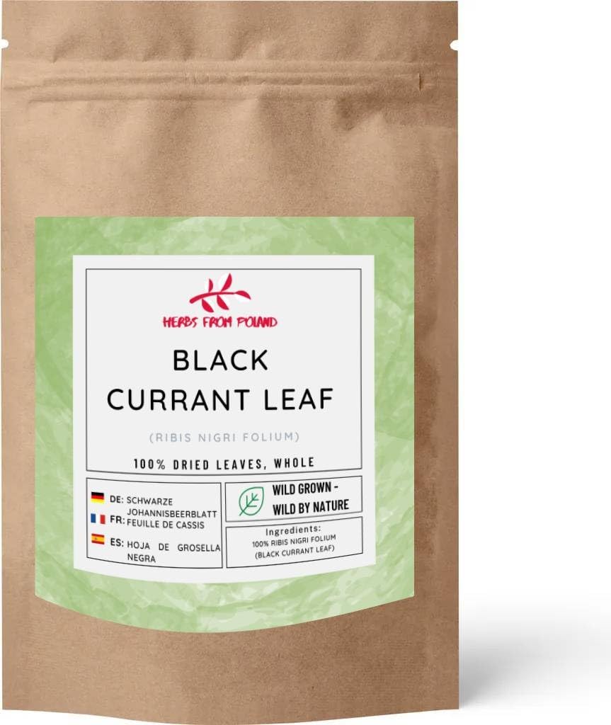 Herbs From Poland – Getrocknete Schwarze Johannisbeerblätter ganz Naturbelassenes Ganzes Kraut Ohne Künstliche Zusätze Ideal für Aufgüsse und Gewürze (1000g, Schwarze Johannisbeerblätter ganz)