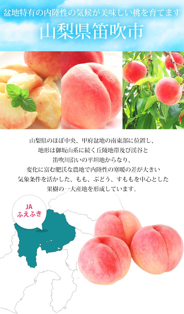 Amazon.co.jp: もも 一宮 匠の桃 秀品 約1.5kg 5～6玉 JAふえふき 山梨