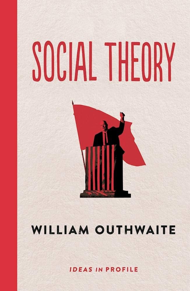 Social Theory: Ideas in Profile: Ideas in Profile (Ideas in Profile - small books, big ideas)